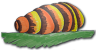 cocoon